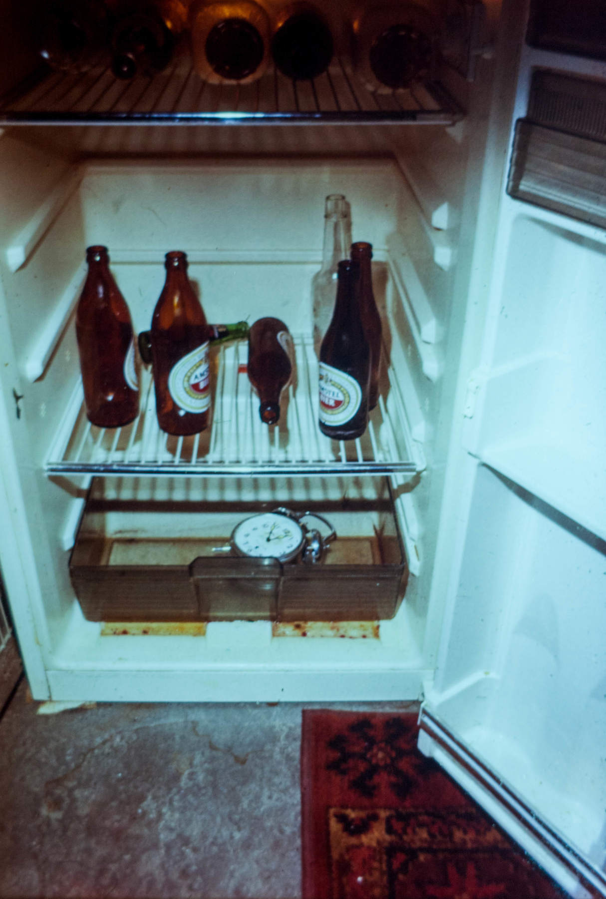No explanation. I just opened the fridge, and then had to take the shot.